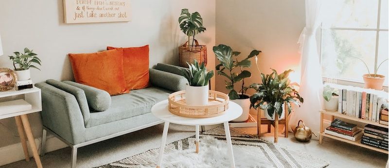 Imagen de la sala de estar con un sofá verde claro, una mesa de café y plantas